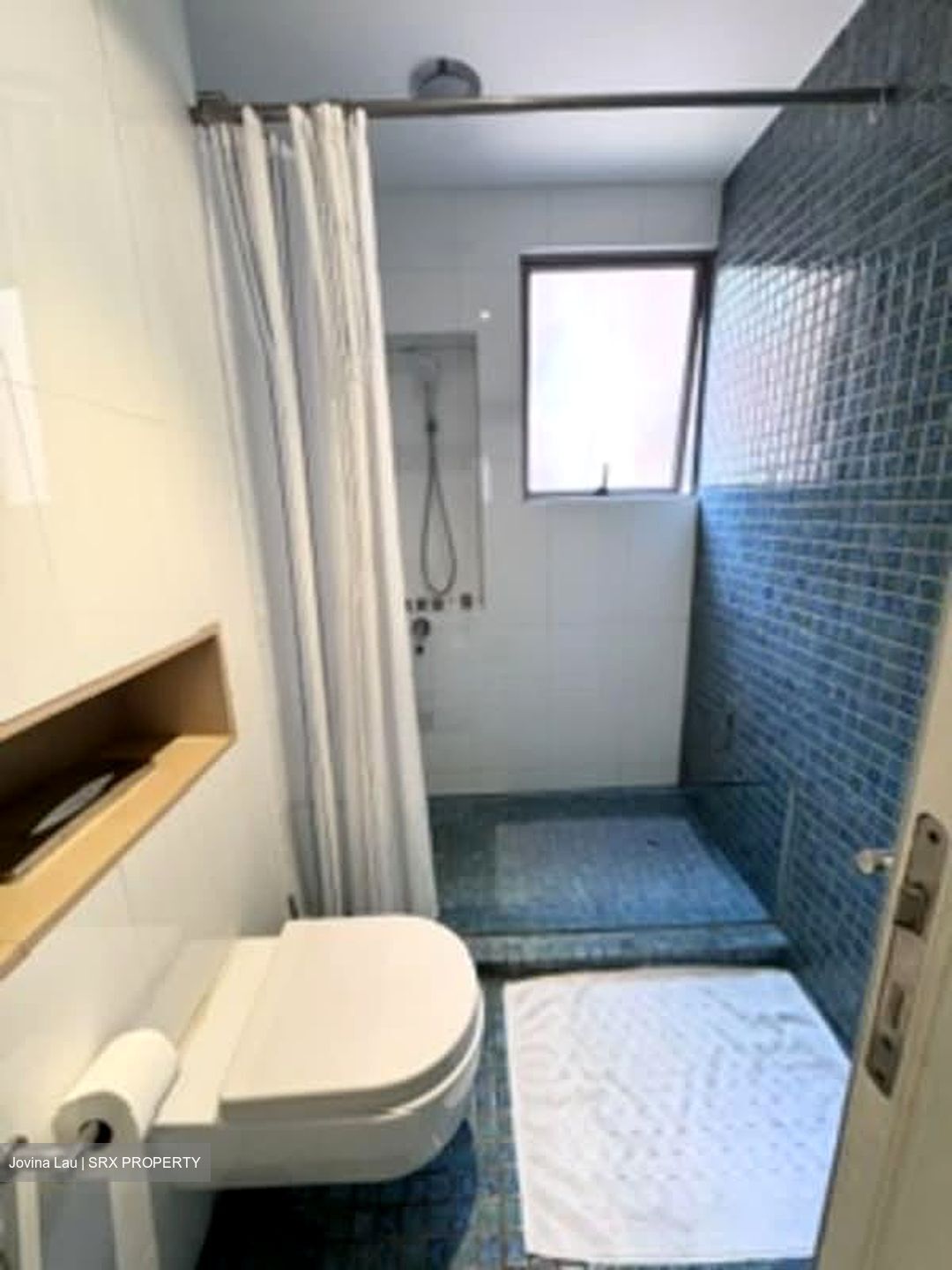 Nassim Mansion (D10), Apartment #560341701